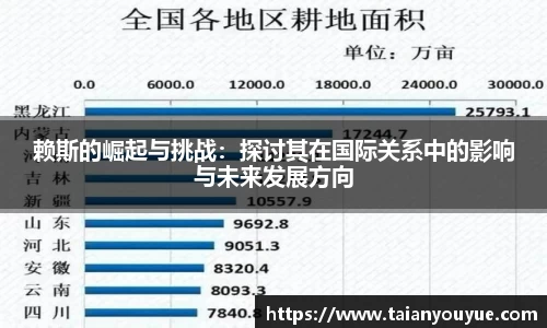 赖斯的崛起与挑战：探讨其在国际关系中的影响与未来发展方向