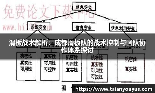 滑板战术解析：成都滑板队的战术控制与团队协作体系探讨
